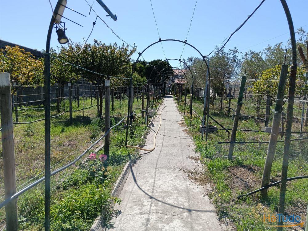 Moradia T5 Venda em Ílhavo (São Salvador),Ílhavo Moradia T5 Venda em Ílhavo (São Salvador),Ílhavo