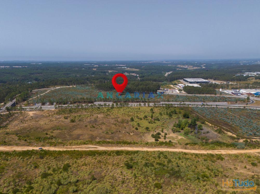 ANG390 - Terreno Industrial para Venda na Barosa, Leiria ANG390 - Terreno Industrial para Venda na Barosa, Leiria