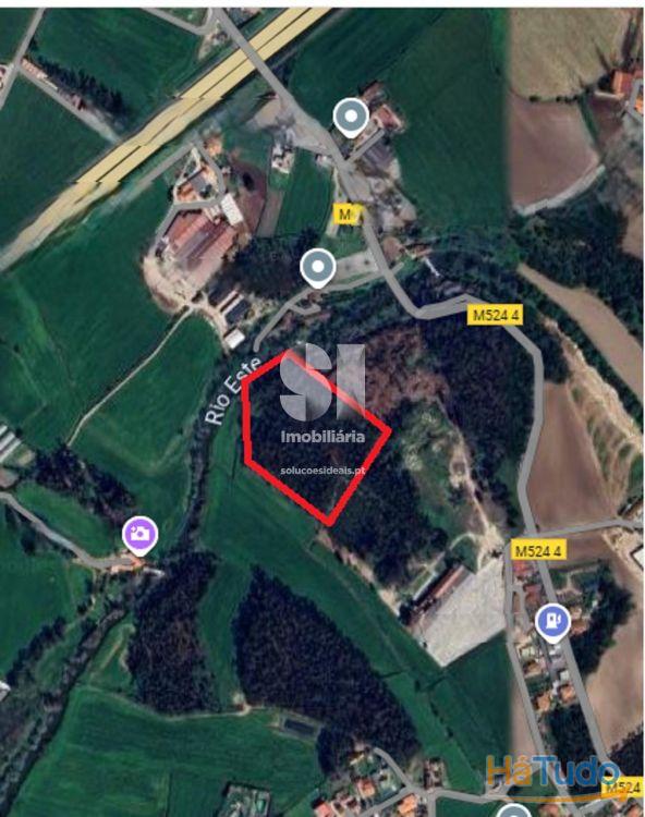 Terreno - Bouça em Touguinha Terreno - Bouça em Touguinha