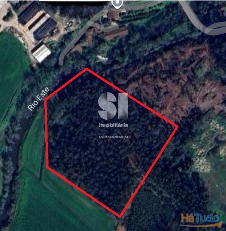 Terreno - Bouça em Touguinha Terreno - Bouça em Touguinha