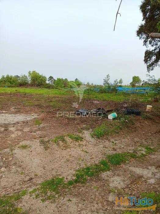 Terreno para possivel Atividade industrial - Sobreiro Terreno para possivel Atividade industrial - Sobreiro