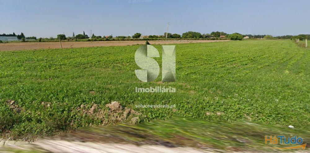 Terreno Aveiro (Mamodeiro) Terreno Aveiro (Mamodeiro)