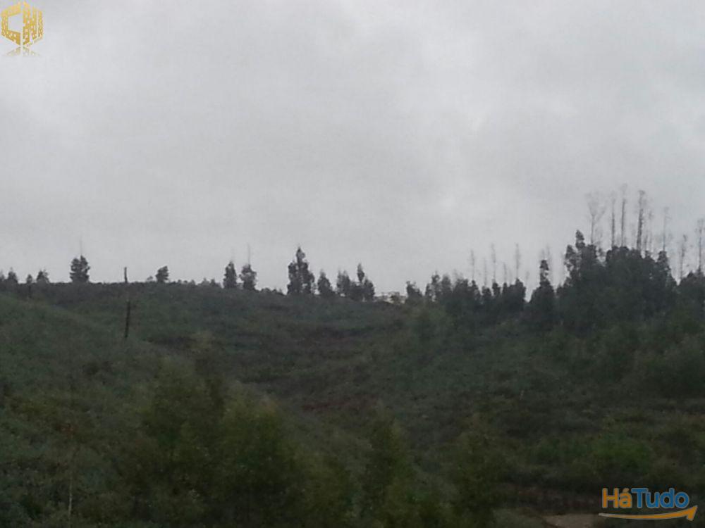 V3 - Vale do Vime V3 - Vale do Vime