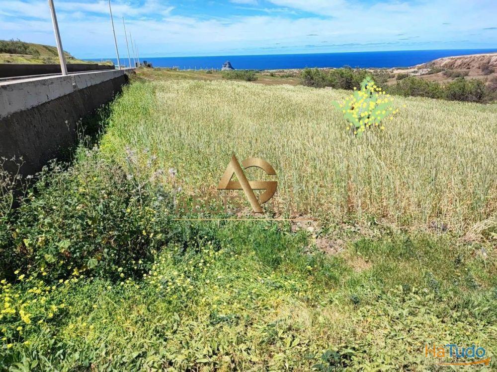 Terreno Porto Santo Terreno Porto Santo