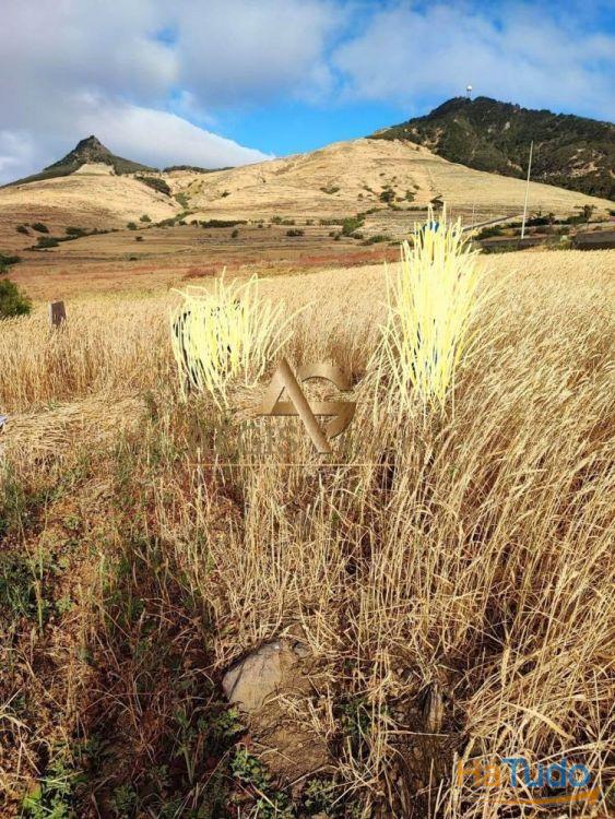 Terreno Porto Santo Terreno Porto Santo