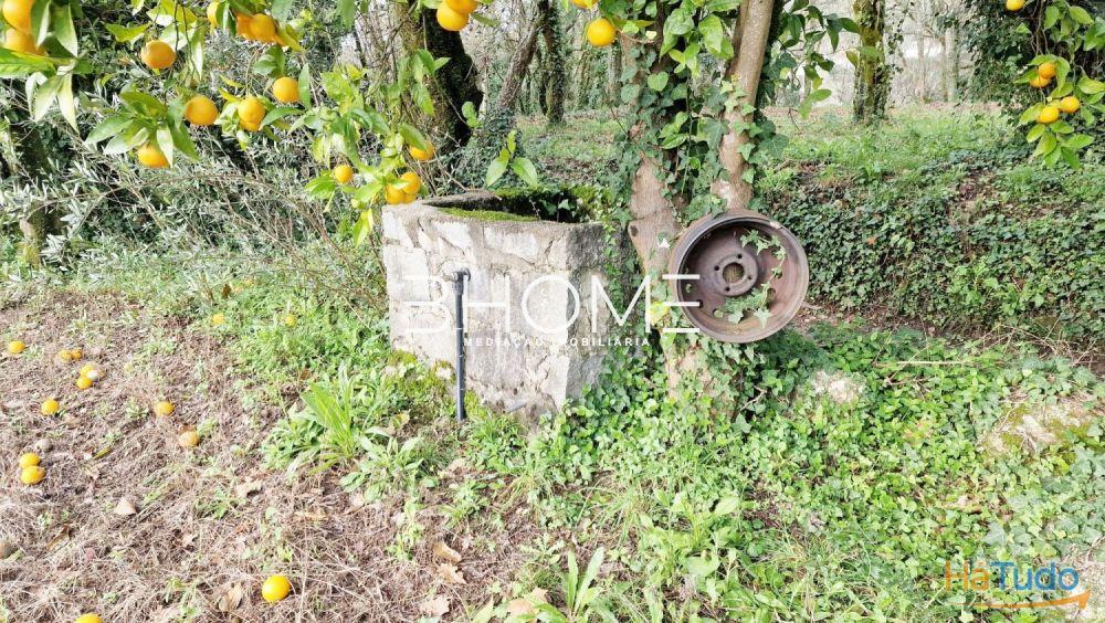 Terreno Rústico com 2.030m2 em Amares Sta Marta de Bouro Terreno Rústico com 2.030m2 em Amares Sta Marta de Bouro