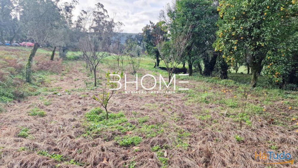 Terreno Rústico com 2.030m2 em Amares Sta Marta de Bouro Terreno Rústico com 2.030m2 em Amares Sta Marta de Bouro