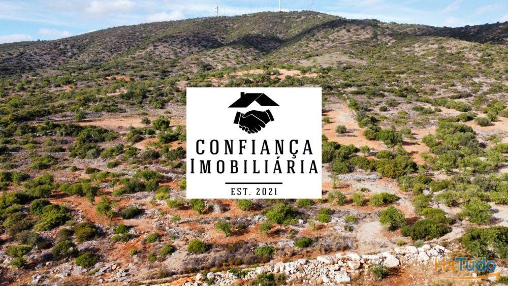 Terreno Limpo e tratado com 48040 m2 Terreno Limpo e tratado com 48040 m2