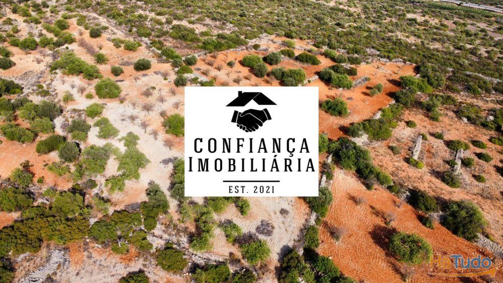 Terreno Limpo e tratado com 48040 m2 Terreno Limpo e tratado com 48040 m2