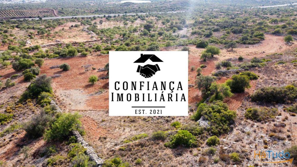 Terreno Limpo e tratado com 48040 m2 Terreno Limpo e tratado com 48040 m2