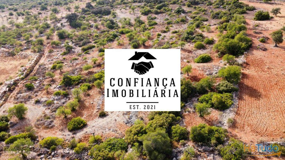 Terreno Limpo e tratado com 48040 m2 Terreno Limpo e tratado com 48040 m2