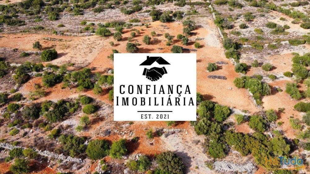 Terreno Limpo e tratado com 48040 m2 Terreno Limpo e tratado com 48040 m2