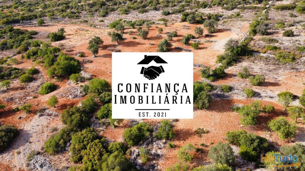 Terreno Limpo e tratado com 48040 m2 Terreno Limpo e tratado com 48040 m2