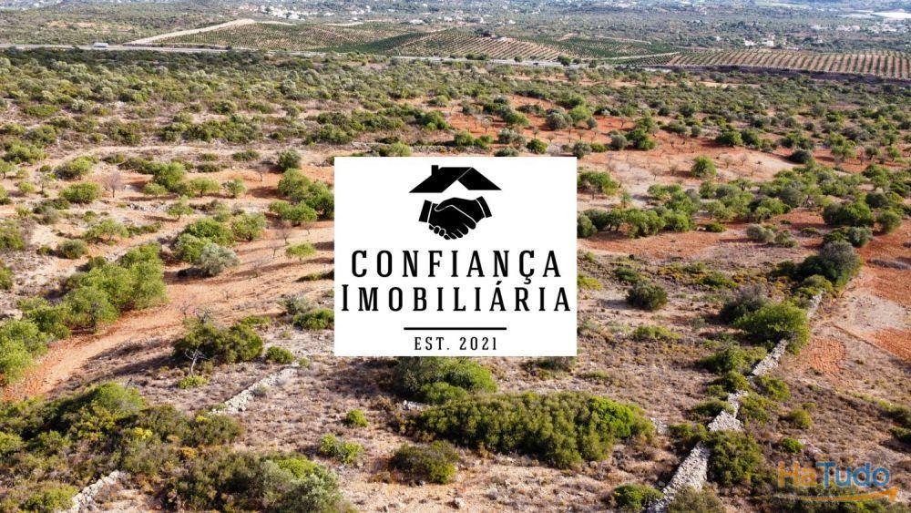 Terreno Limpo e tratado com 48040 m2 Terreno Limpo e tratado com 48040 m2