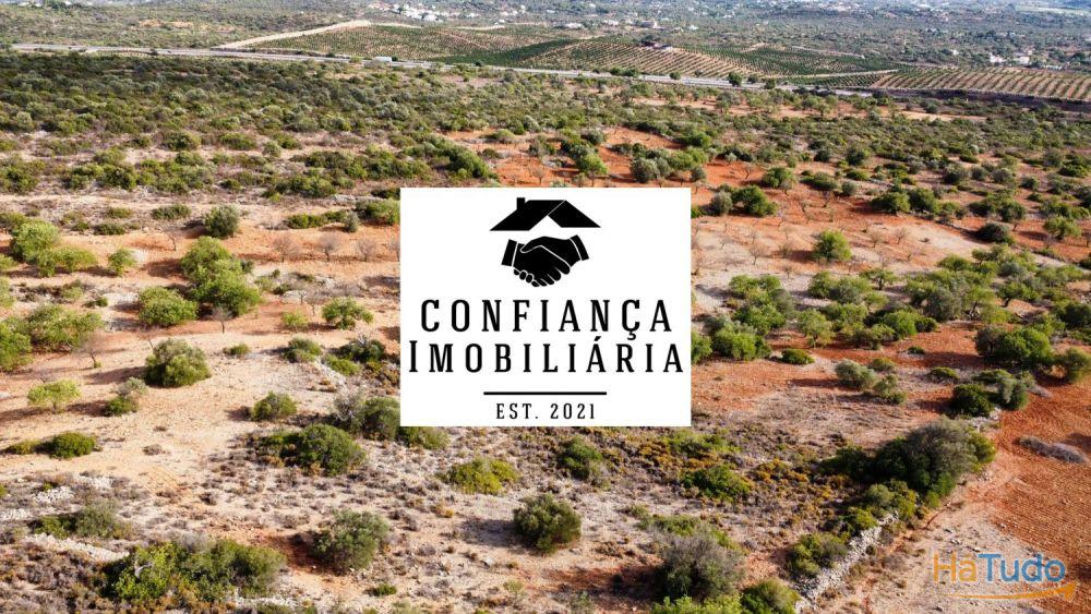 Terreno Limpo e tratado com 48040 m2 Terreno Limpo e tratado com 48040 m2