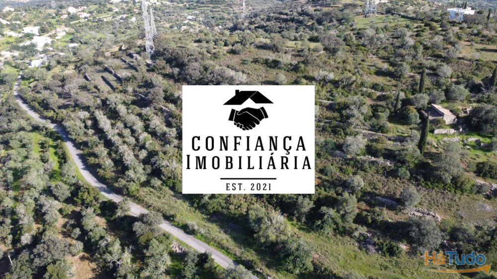 Terreno para venda perto de Faro Terreno para venda perto de Faro