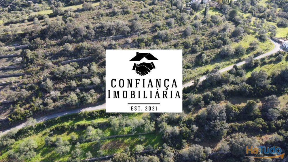 Terreno para venda perto de Faro Terreno para venda perto de Faro