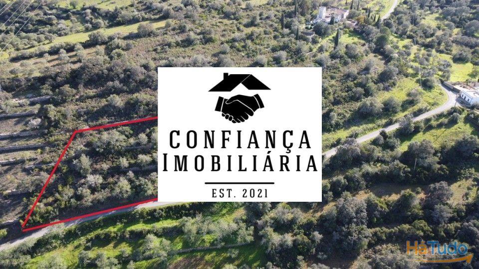 Terreno para venda perto de Faro Terreno para venda perto de Faro