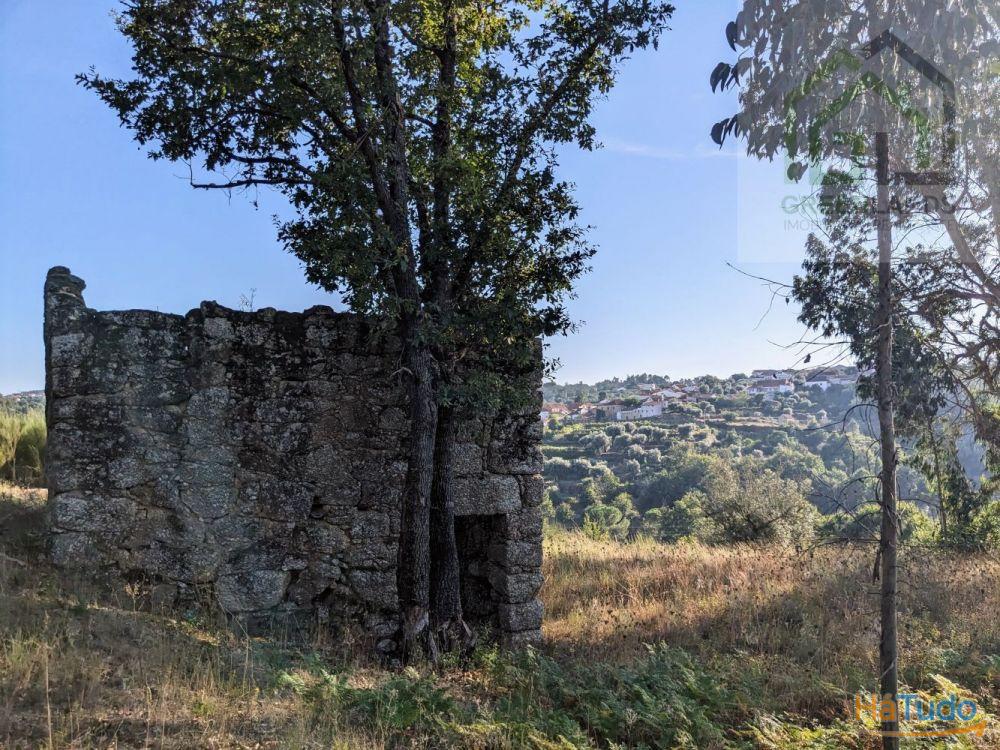 Land + Ruin for sale (exempted of habitation license) Land + Ruin for sale (exempted of habitation license)