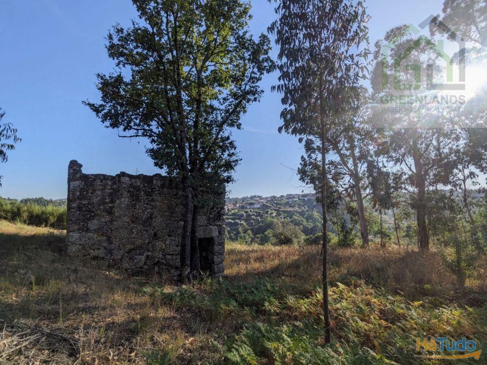 Land + Ruin for sale (exempted of habitation license) Land + Ruin for sale (exempted of habitation license)