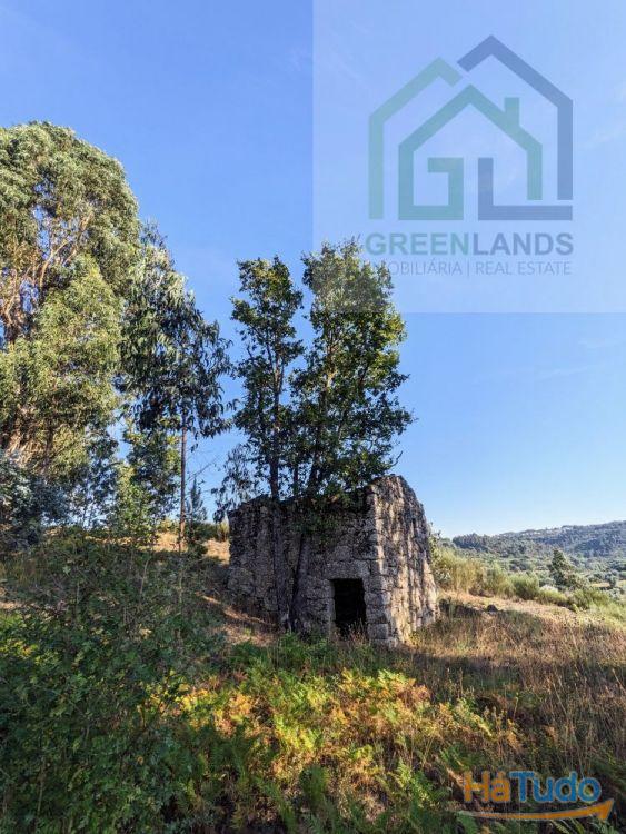 Land + Ruin for sale (exempted of habitation license) Land + Ruin for sale (exempted of habitation license)