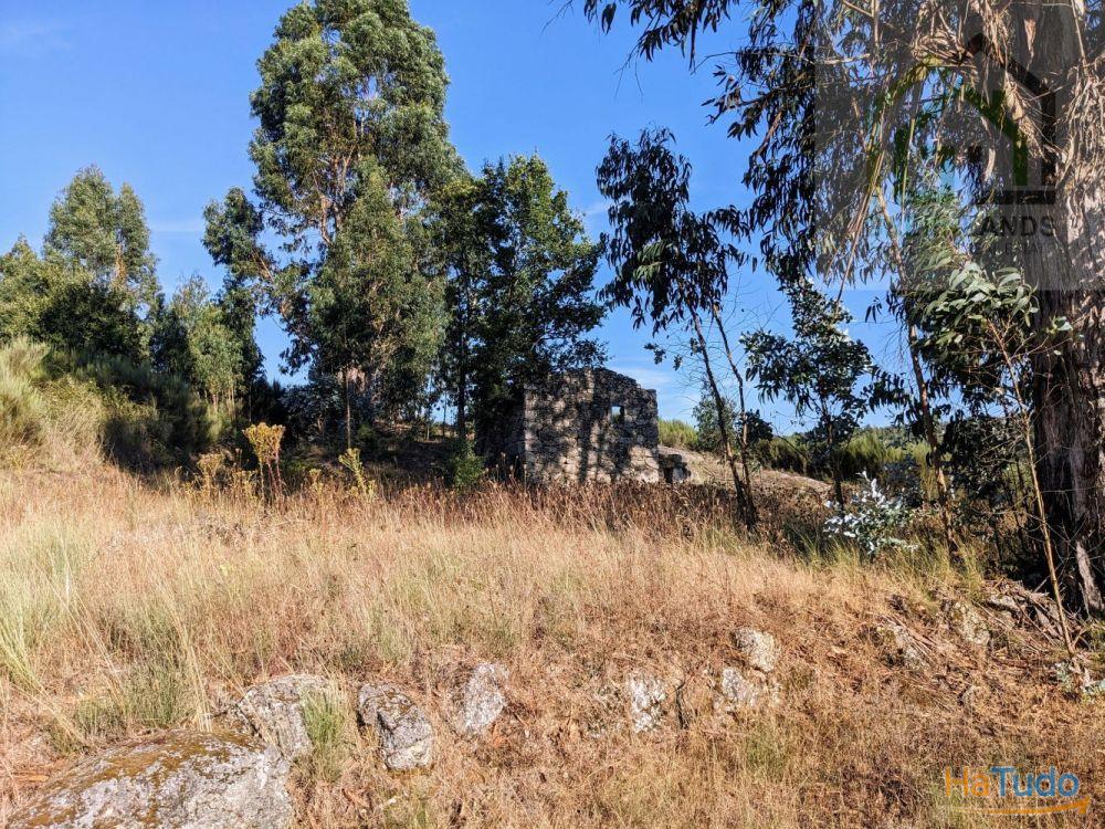 Land + Ruin for sale (exempted of habitation license) Land + Ruin for sale (exempted of habitation license)