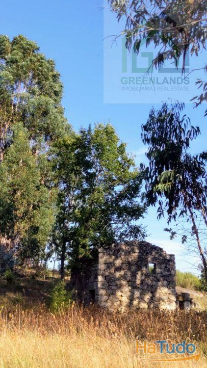 Land + Ruin for sale (exempted of habitation license) Land + Ruin for sale (exempted of habitation license)