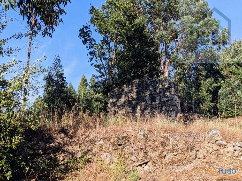 Land + Ruin for sale (exempted of habitation license) Land + Ruin for sale (exempted of habitation license)