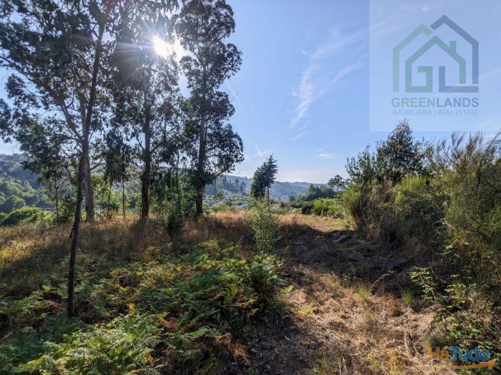 Land + Ruin for sale (exempted of habitation license) Land + Ruin for sale (exempted of habitation license)