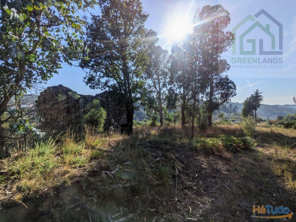 Land + Ruin for sale (exempted of habitation license) Land + Ruin for sale (exempted of habitation license)