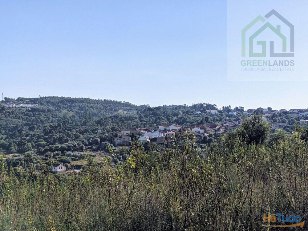 Land + Ruin for sale (exempted of habitation license) Land + Ruin for sale (exempted of habitation license)