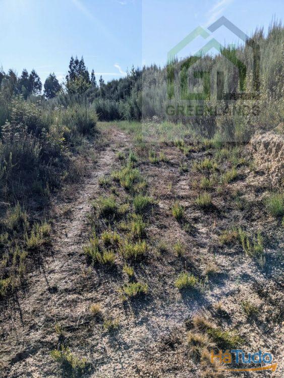 Land + Ruin for sale (exempted of habitation license) Land + Ruin for sale (exempted of habitation license)