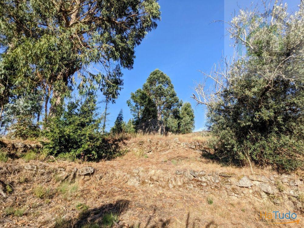 Land + Ruin for sale (exempted of habitation license) Land + Ruin for sale (exempted of habitation license)