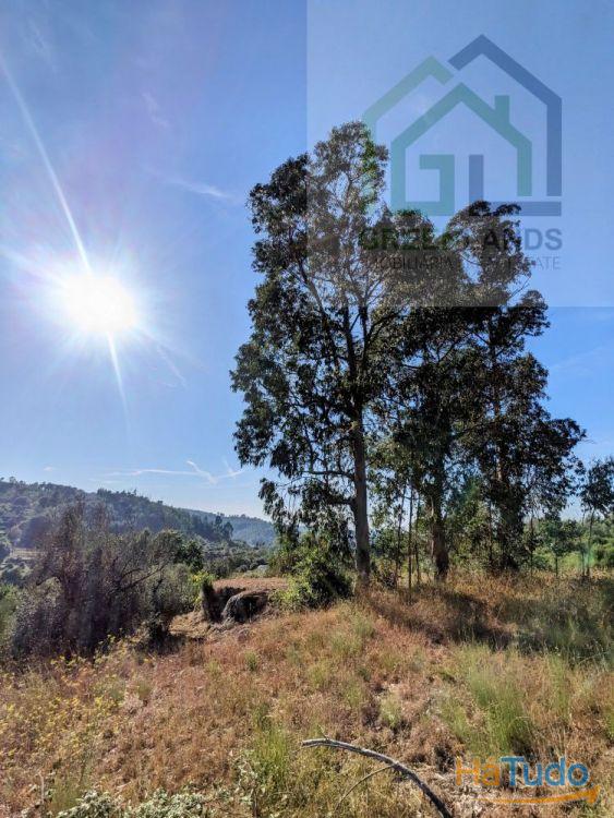 Land + Ruin for sale (exempted of habitation license) Land + Ruin for sale (exempted of habitation license)