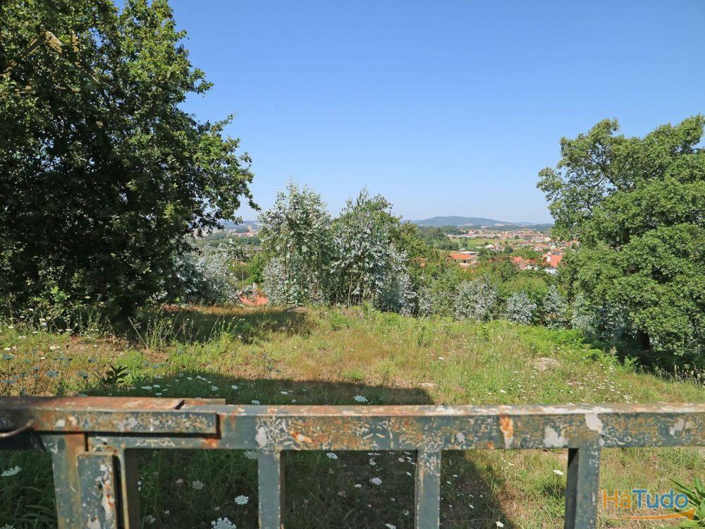 Terreno Bouça dos Alhinhos Terreno Bouça dos Alhinhos
