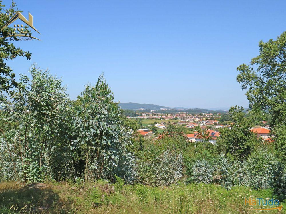 Terreno Bouça dos Alhinhos Terreno Bouça dos Alhinhos