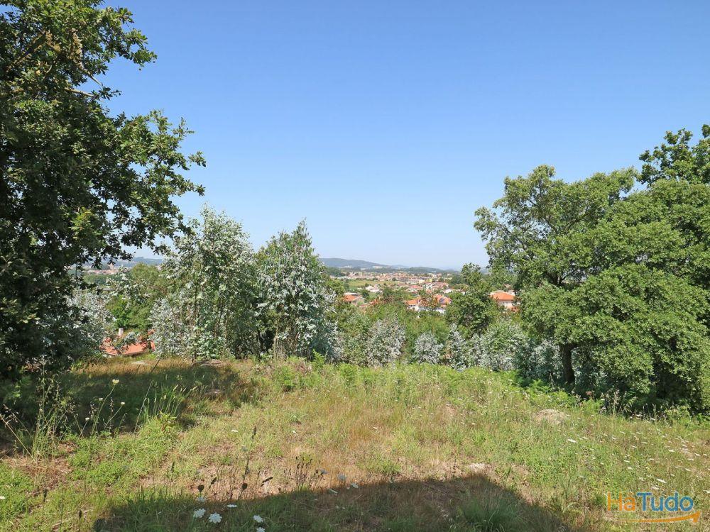 Terreno Bouça dos Alhinhos Terreno Bouça dos Alhinhos