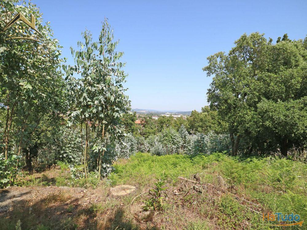 Terreno Bouça dos Alhinhos Terreno Bouça dos Alhinhos