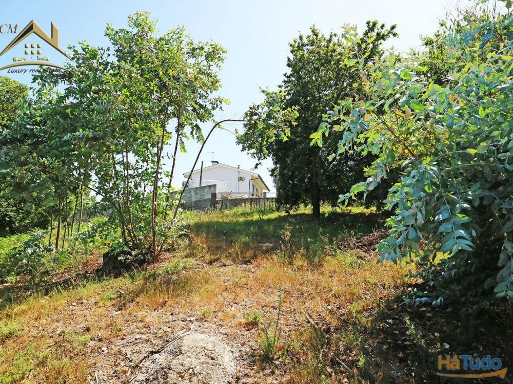 Terreno Bouça dos Alhinhos Terreno Bouça dos Alhinhos