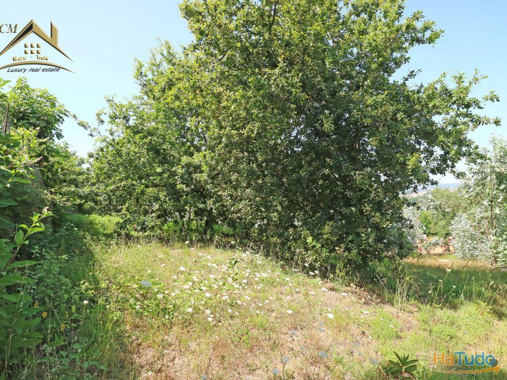 Terreno Bouça dos Alhinhos Terreno Bouça dos Alhinhos
