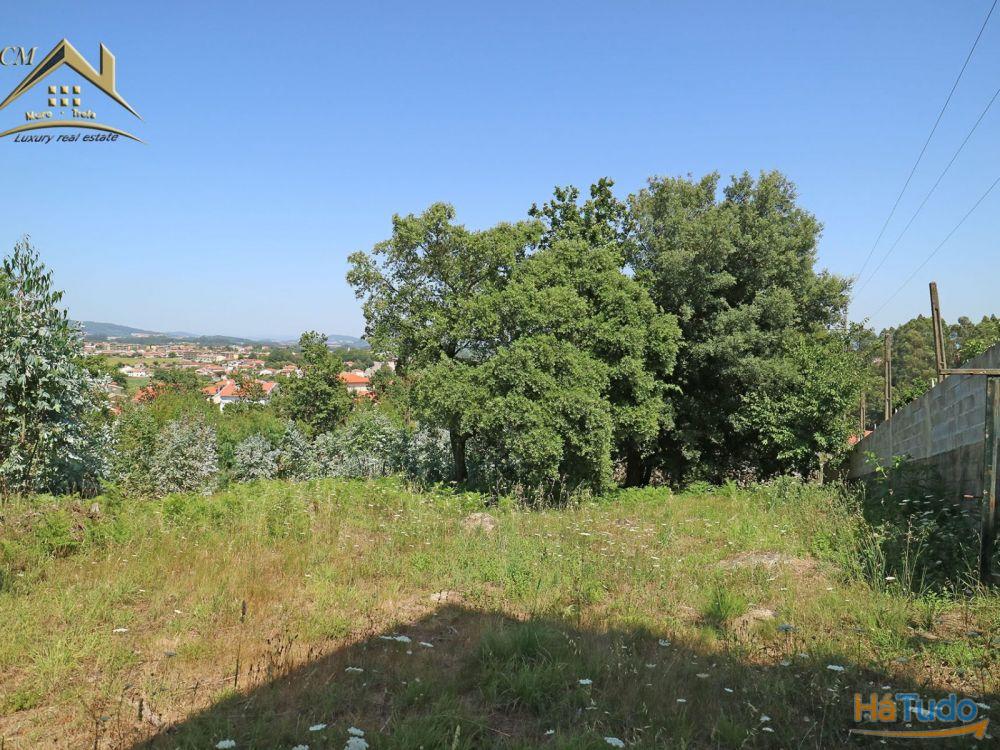 Terreno Bouça dos Alhinhos Terreno Bouça dos Alhinhos