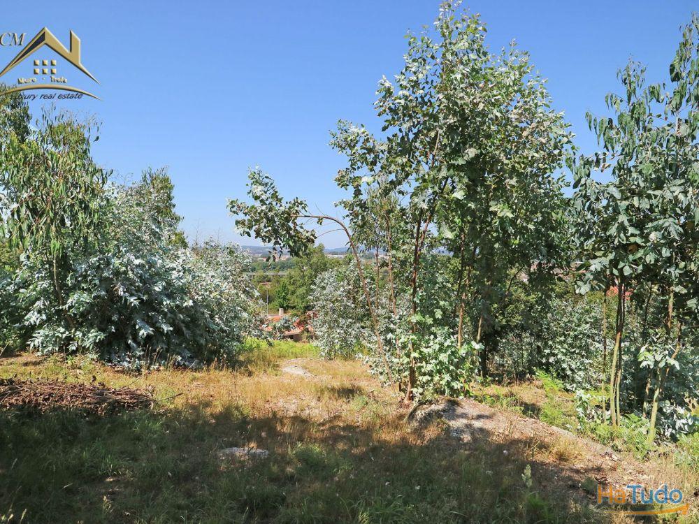 Terreno Bouça dos Alhinhos Terreno Bouça dos Alhinhos
