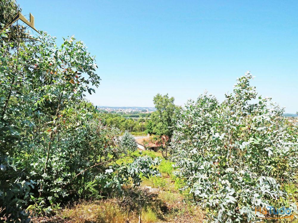 Terreno Bouça dos Alhinhos Terreno Bouça dos Alhinhos