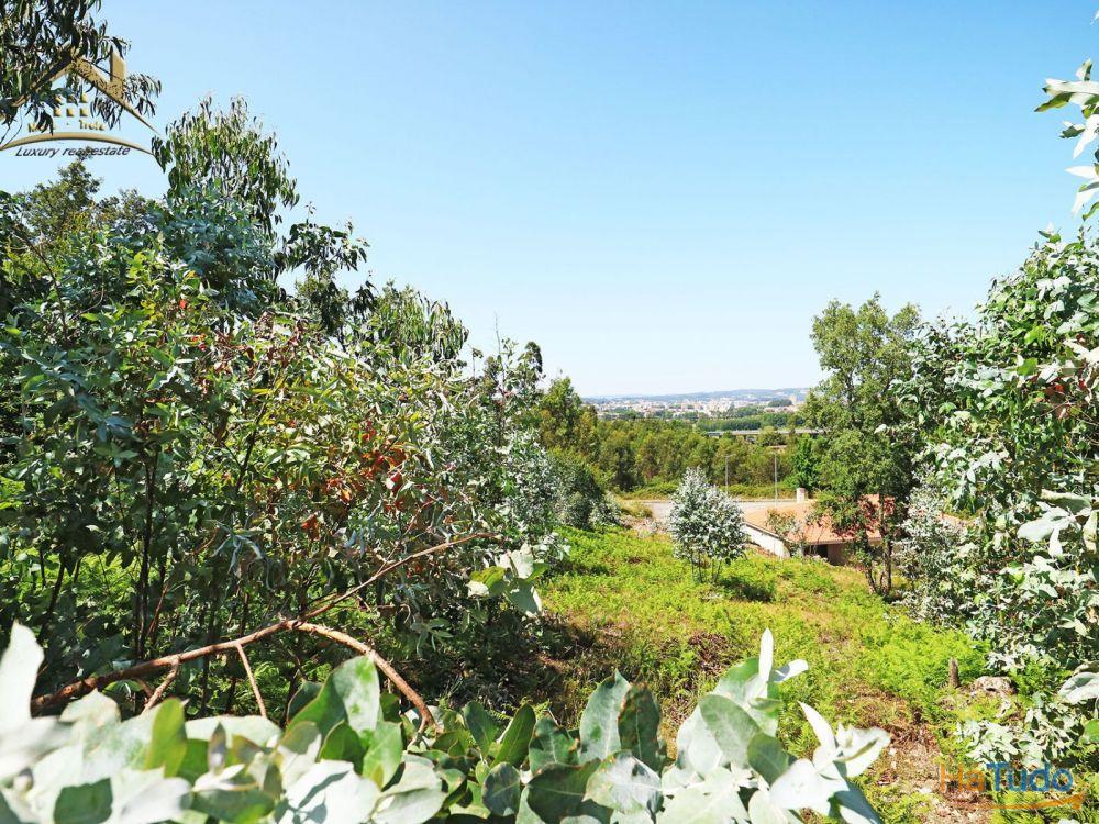 Terreno Bouça dos Alhinhos Terreno Bouça dos Alhinhos