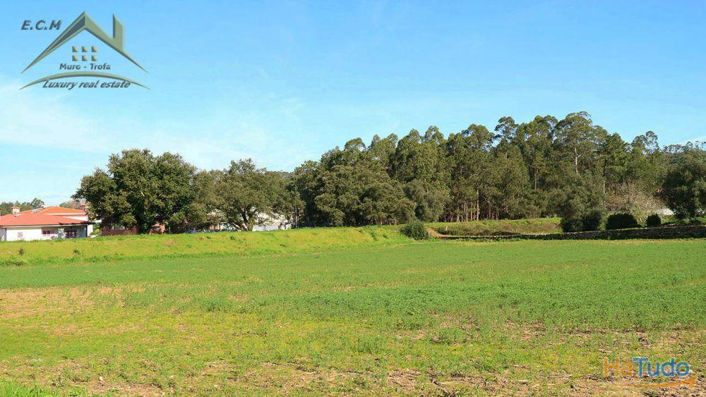 Terreno Para construção Muro Trofa Terreno Para construção Muro Trofa