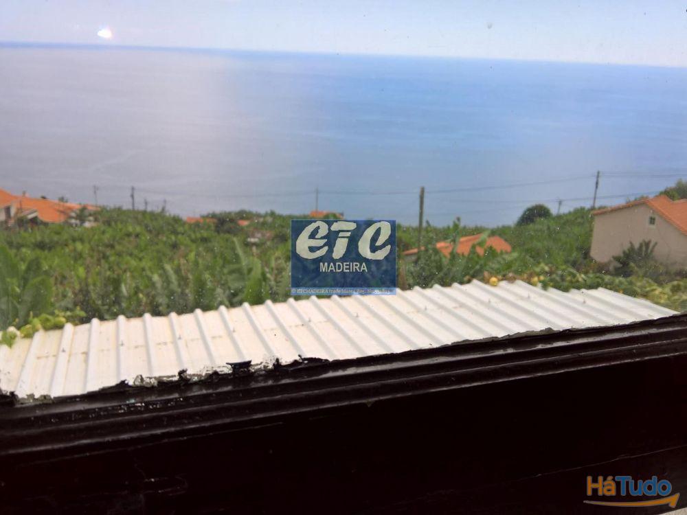 Alberto house and project