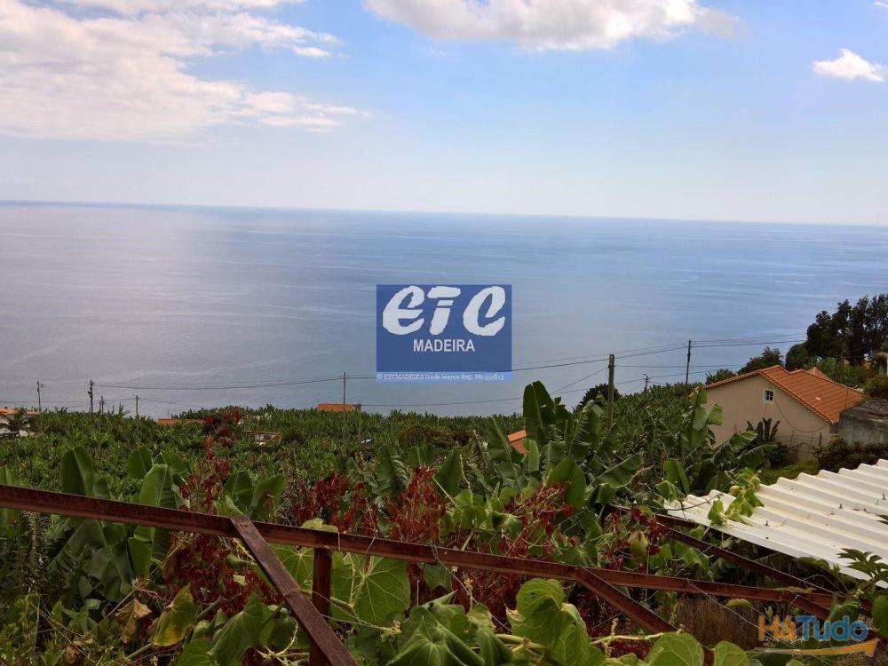 Alberto house and project