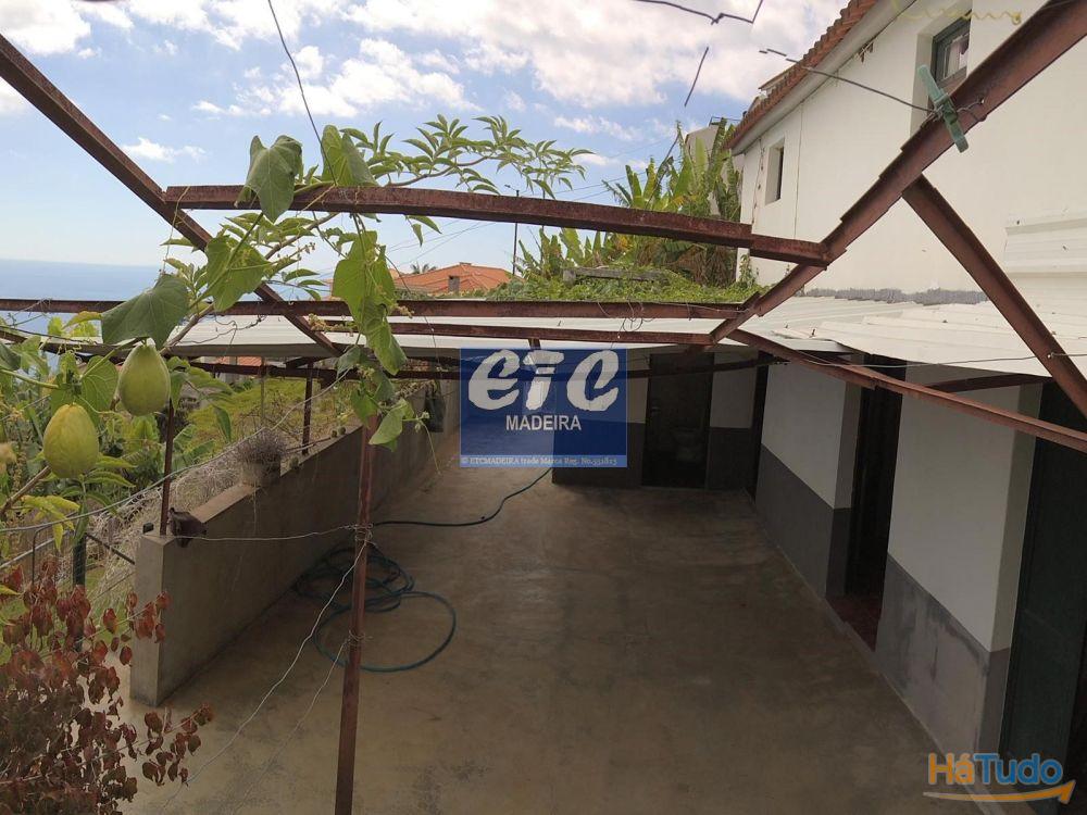 Alberto house and project