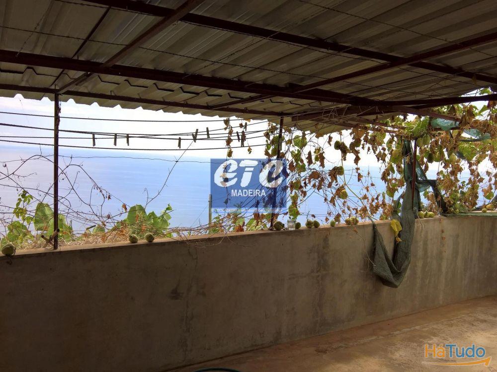 Alberto house and project