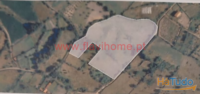 Terreno Terreno
